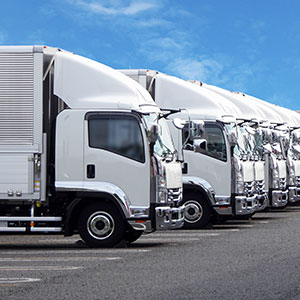 無料現地実車確認